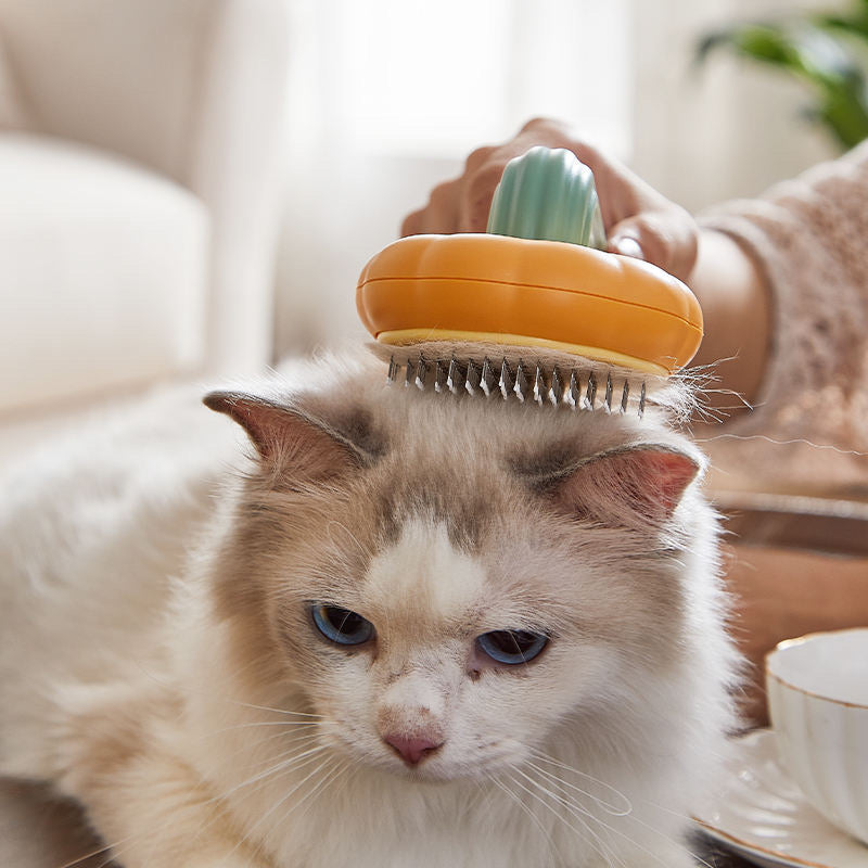 Pet Brush - Perie indepartare par de animale cu varfuri pentru masaj