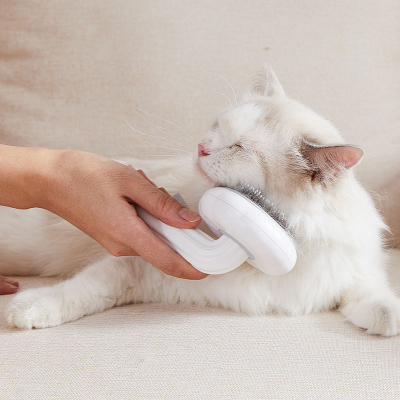 Pet Brush - Perie indepartare par de animale cu varfuri pentru masaj